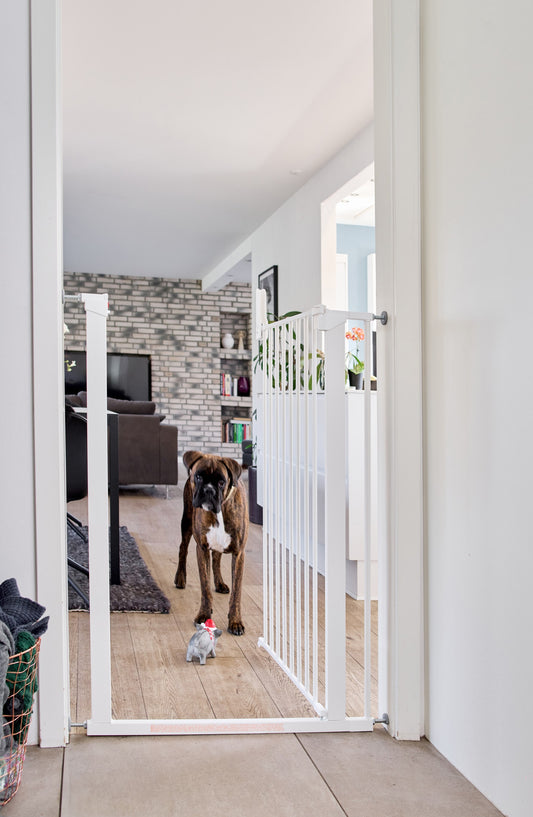 Hundgrind DogSpace Bonnie, 103 cm hög