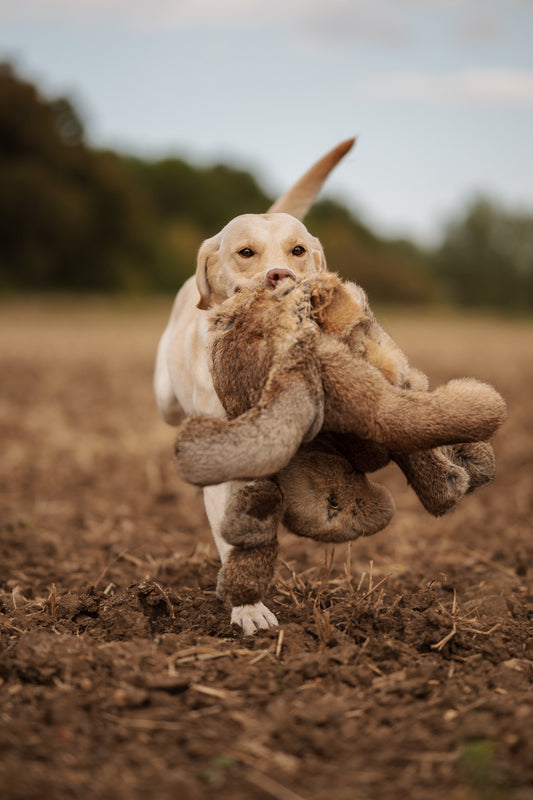 The Real Feel Hare, 2,25 kg