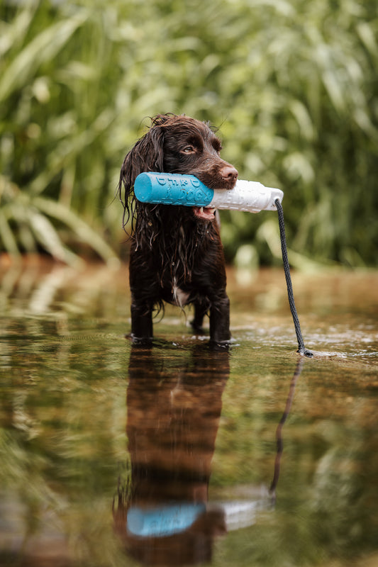 B-Line Bumper, blåvit