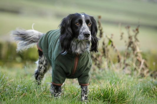 Dog & Field Thermotec Fleece Jumper