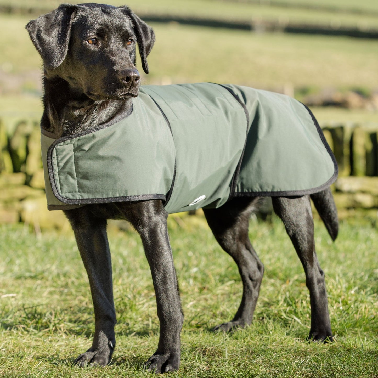 Dog & Field 2-in-1 torktäcke