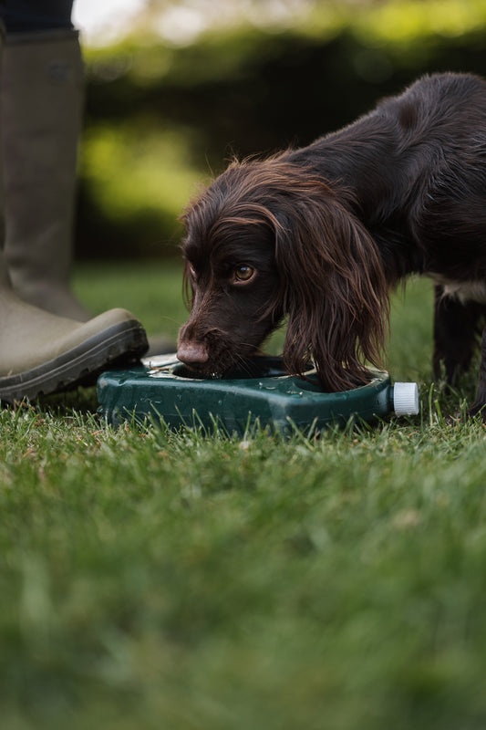 Aquabowl vattenskål 2 liter