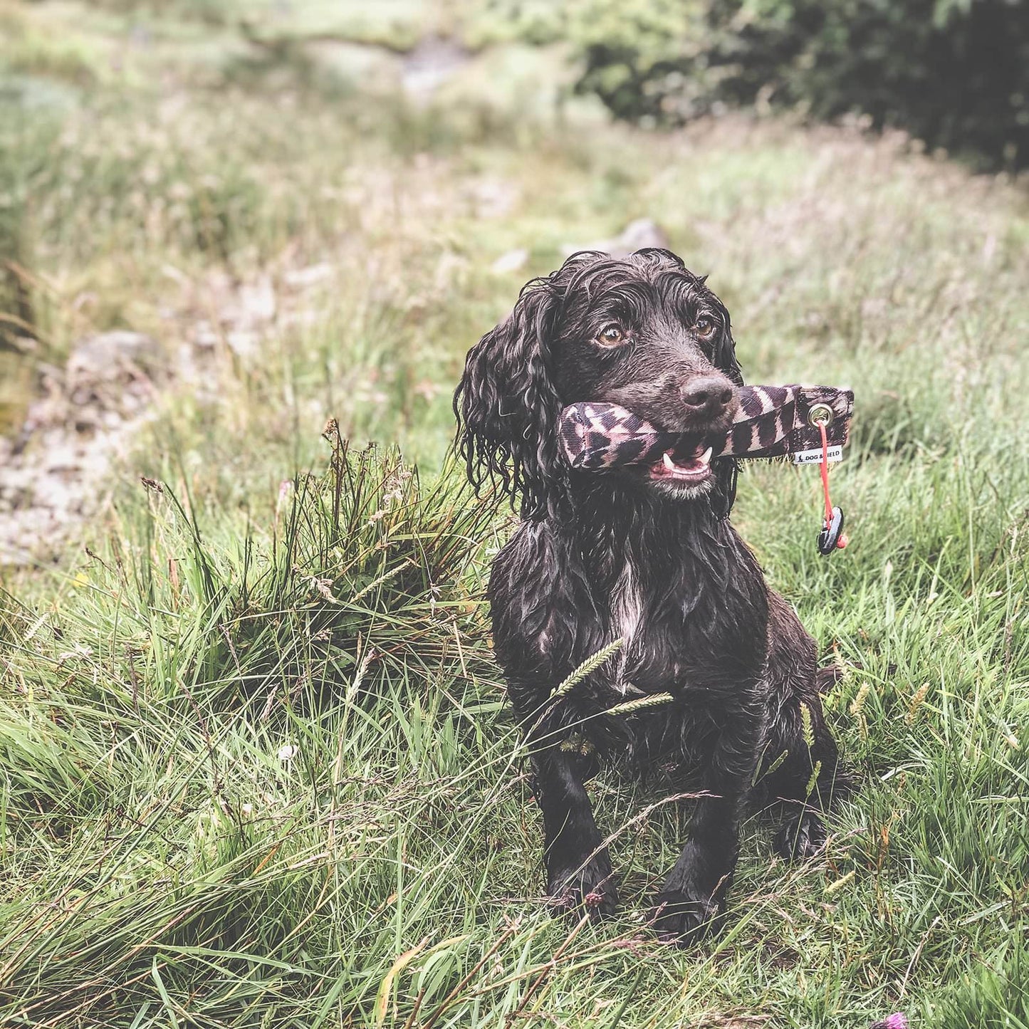 Dog & Field - The Original Clone®️ - Minidummy Snipe