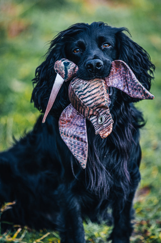 Dog & Field - The Original Clone - Morkulla