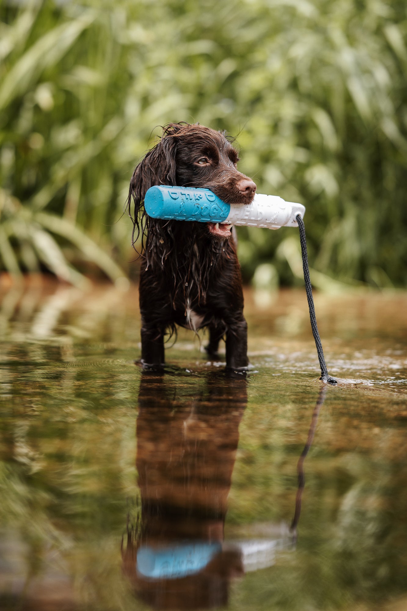 B-Line Bumper, blåvit
