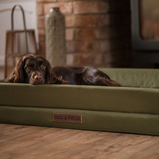 Heritage ortopedisk hundbädd