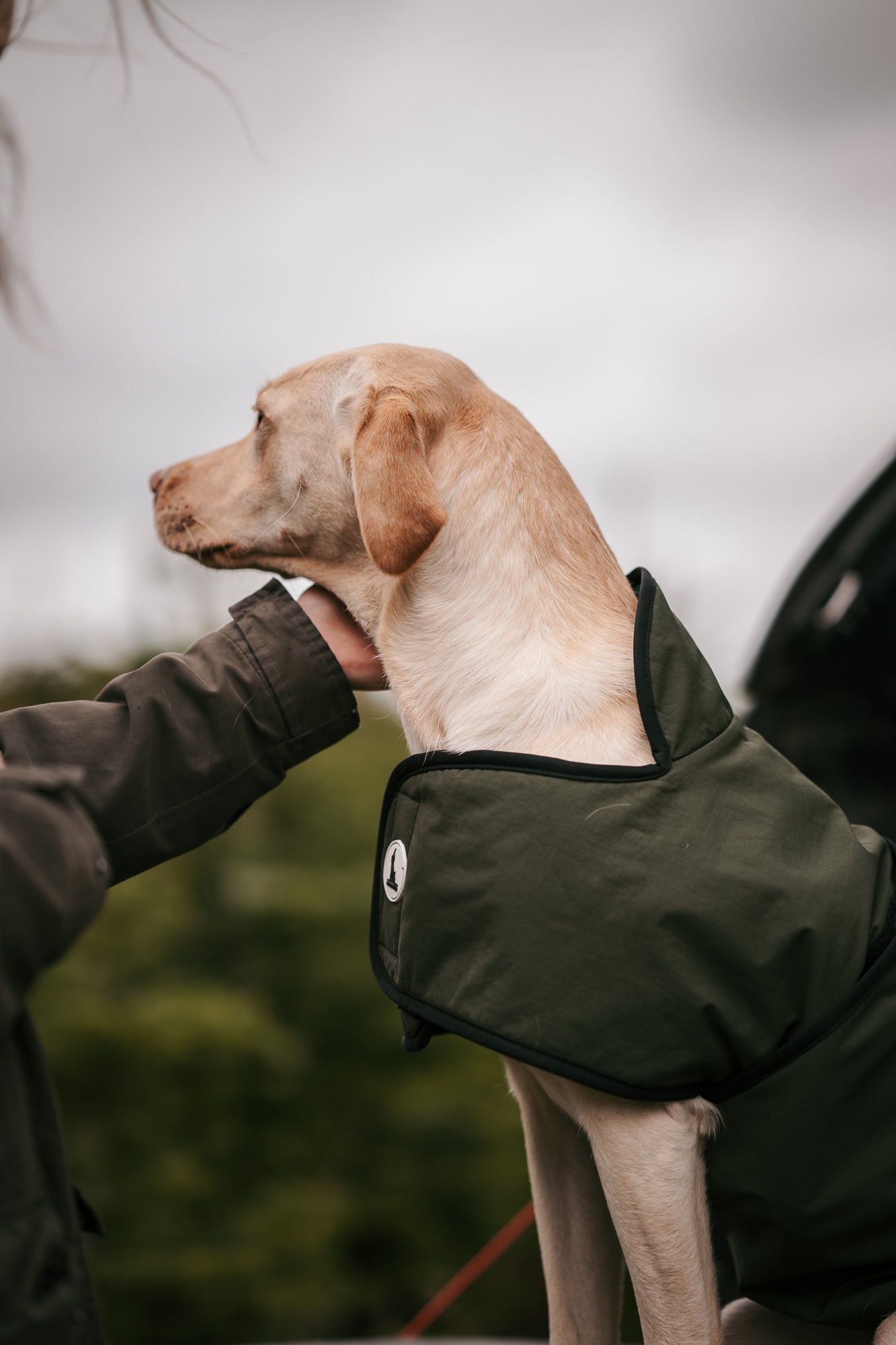 Dog & Field 2-in-1 torktäcke