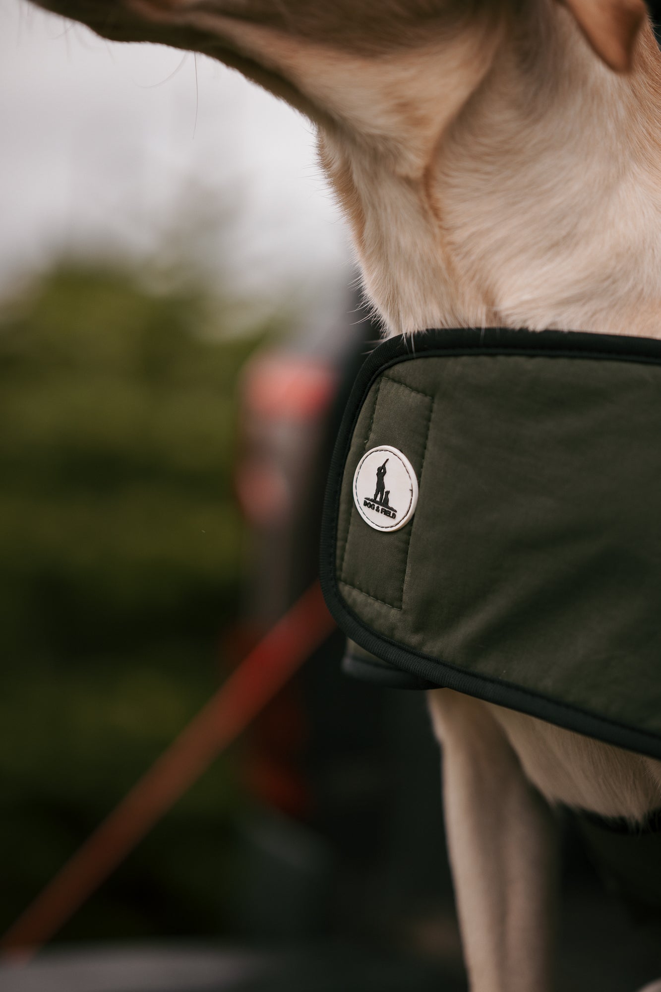 Dog & Field 2-in-1 torktäcke