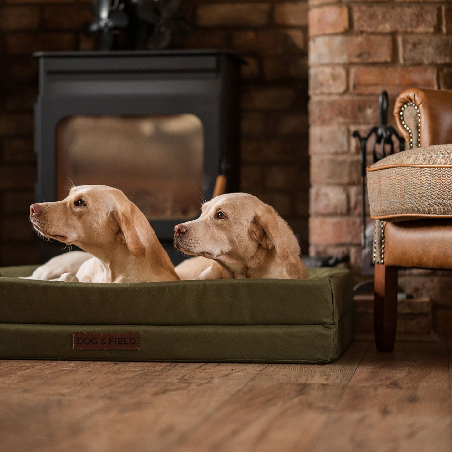 Heritage ortopedisk hundbädd