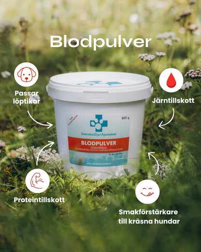 Blodpulver