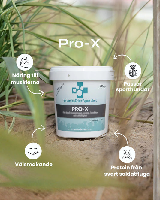 Pro-X Proteinpulver