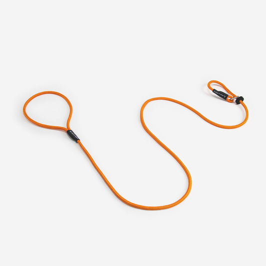 Dog & Field Signature retrieverkoppel, orange
