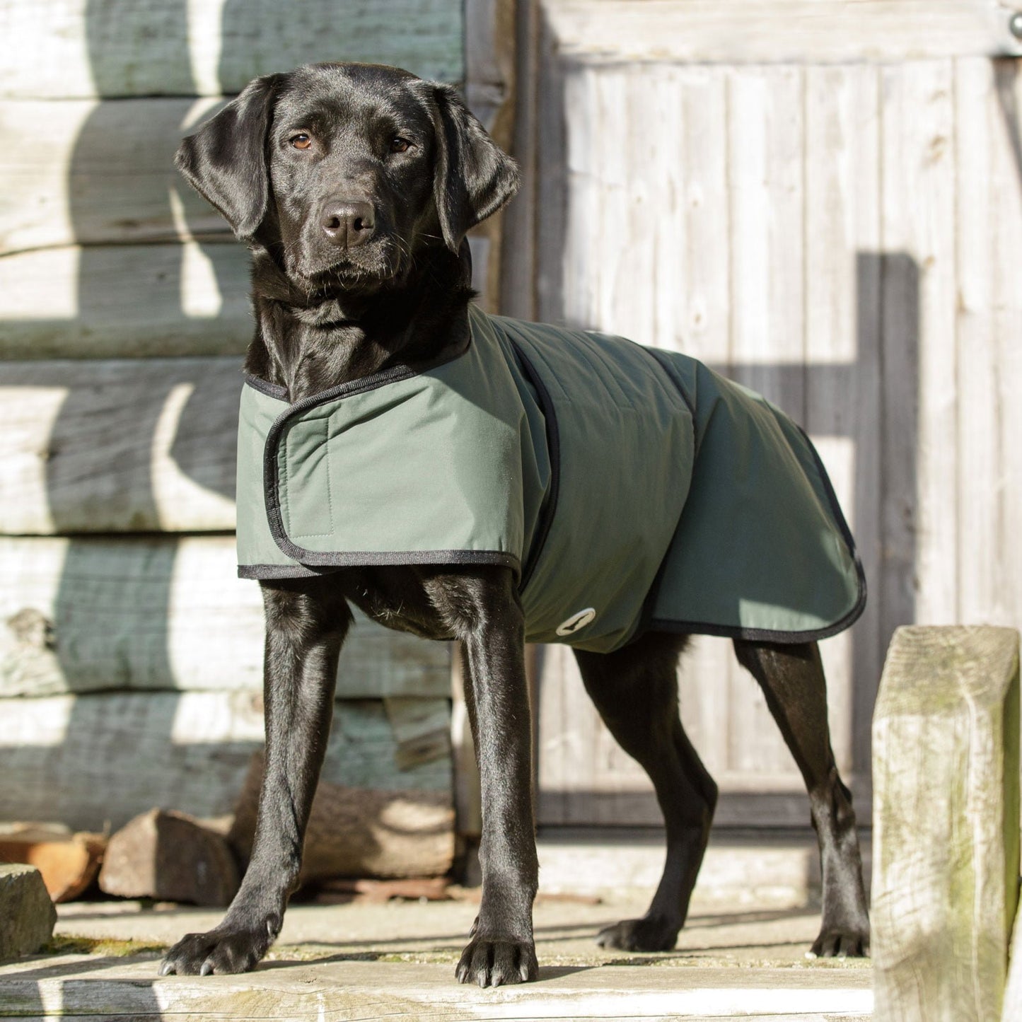 Dog & Field 2-in-1 torktäcke